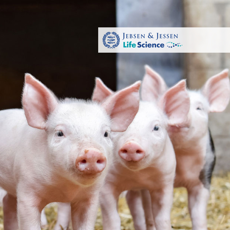 Food additives manufacturer, 3 small pigs